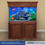 100 Gallon Fish Tank - 100 Gallon Aquarium - Custom Aquariums