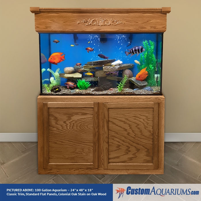 5 Best Fish Tank Ideas for a 40-Gallon Breeder Aquarium – Aquarium