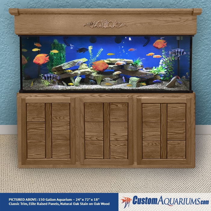 150 Gallon Aquarium Custom Glass Fish Tank Custom Aquariums