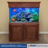 100 Gallon Fish Tank - 100 Gallon Aquarium - Custom Aquariums
