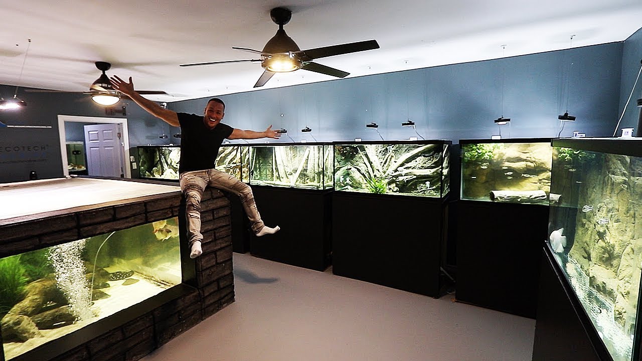 The Aquarium Gallery Renovation Is Done! Custom Aquariums
