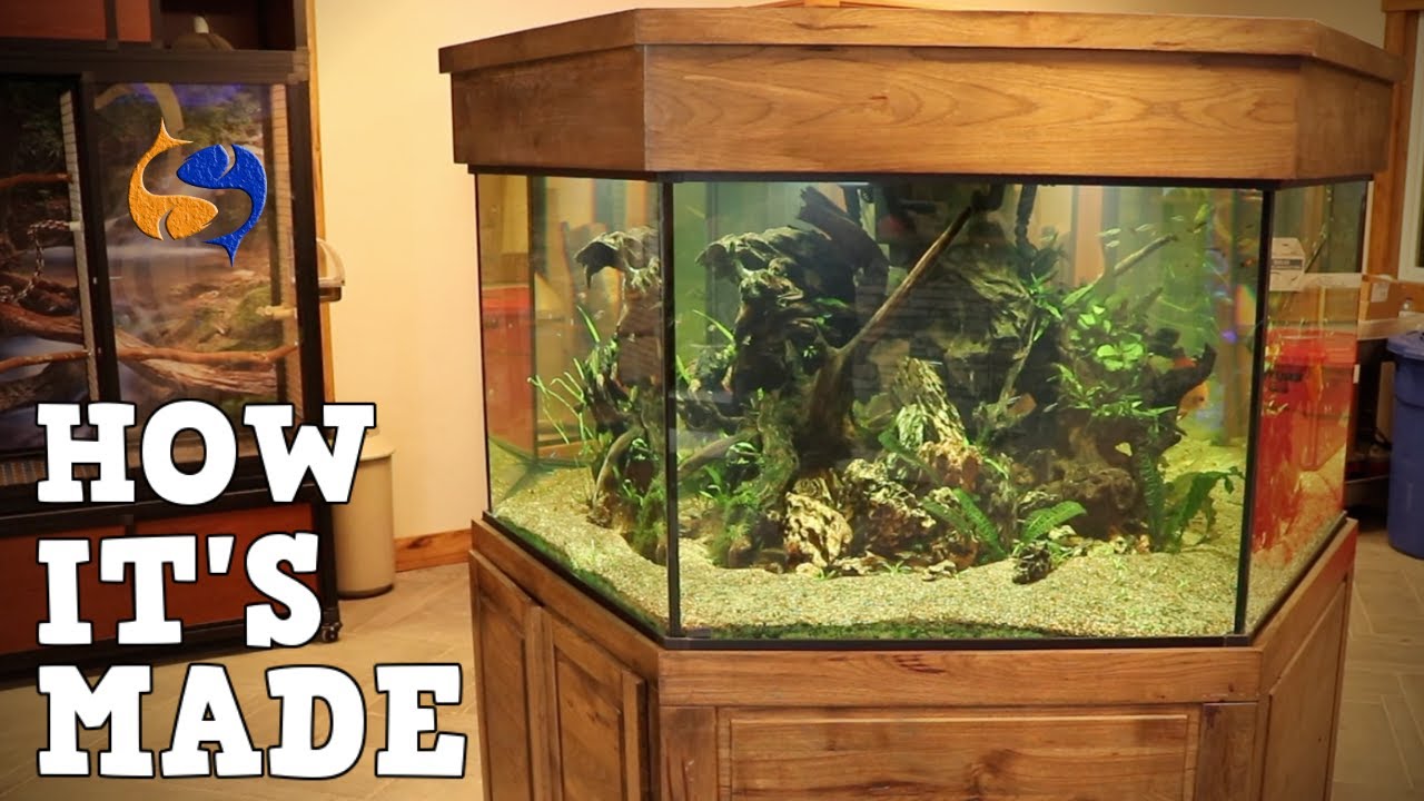How Aquariums Are Made, A Tour Of Custom Aquariums Custom Aquariums