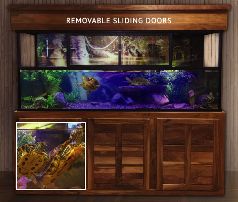 Turtle Aquariums - Custom Aquariums