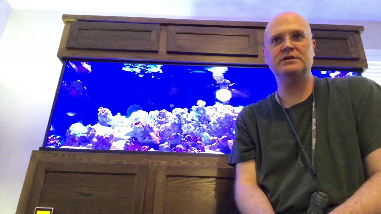 Custom Aquariums 180 Gallon Review part 1 Custom Aquariums