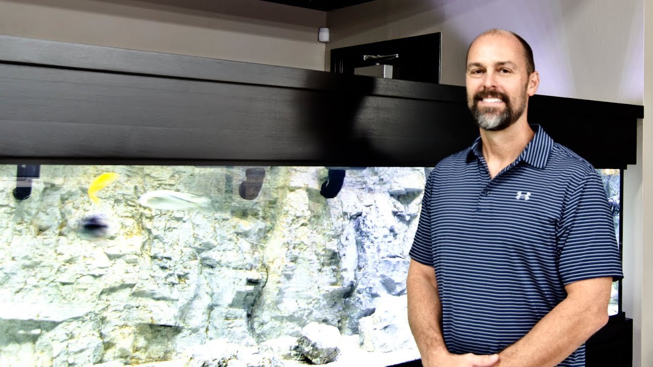 Gordon's 300-gallon Custom Aquariums Cichlid Display - Custom Aquariums