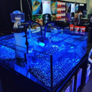 Marine aquarium outlet accessories