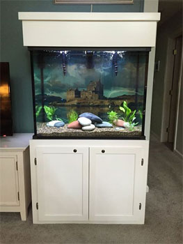 Glass vs Acrylic Fish Tanks  Serenity Aquarium & Aviary Services