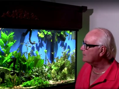 Glass vs Acrylic Fish Tanks  Serenity Aquarium & Aviary Services