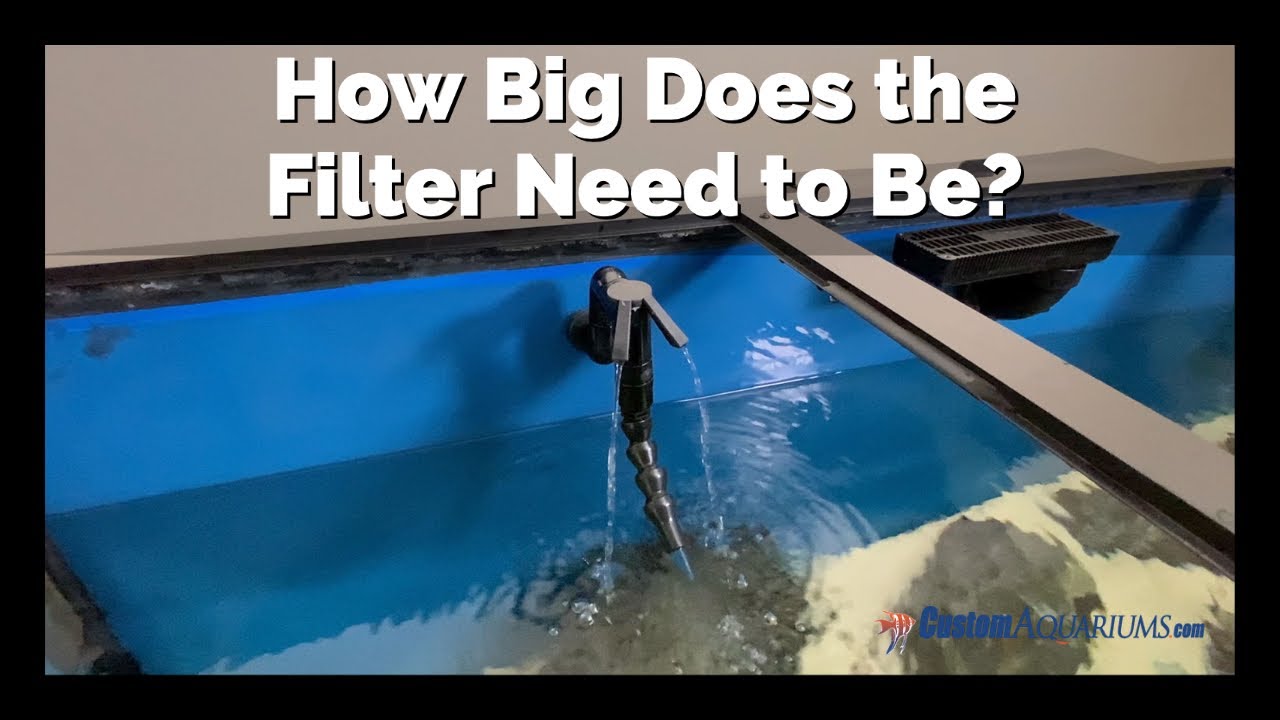 Flow Rate Through a Sump Filter Custom Aquariums