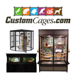 240 Gallon Saltwater Aquarium - Custom Glass Fish Tank - Custom Aquariums