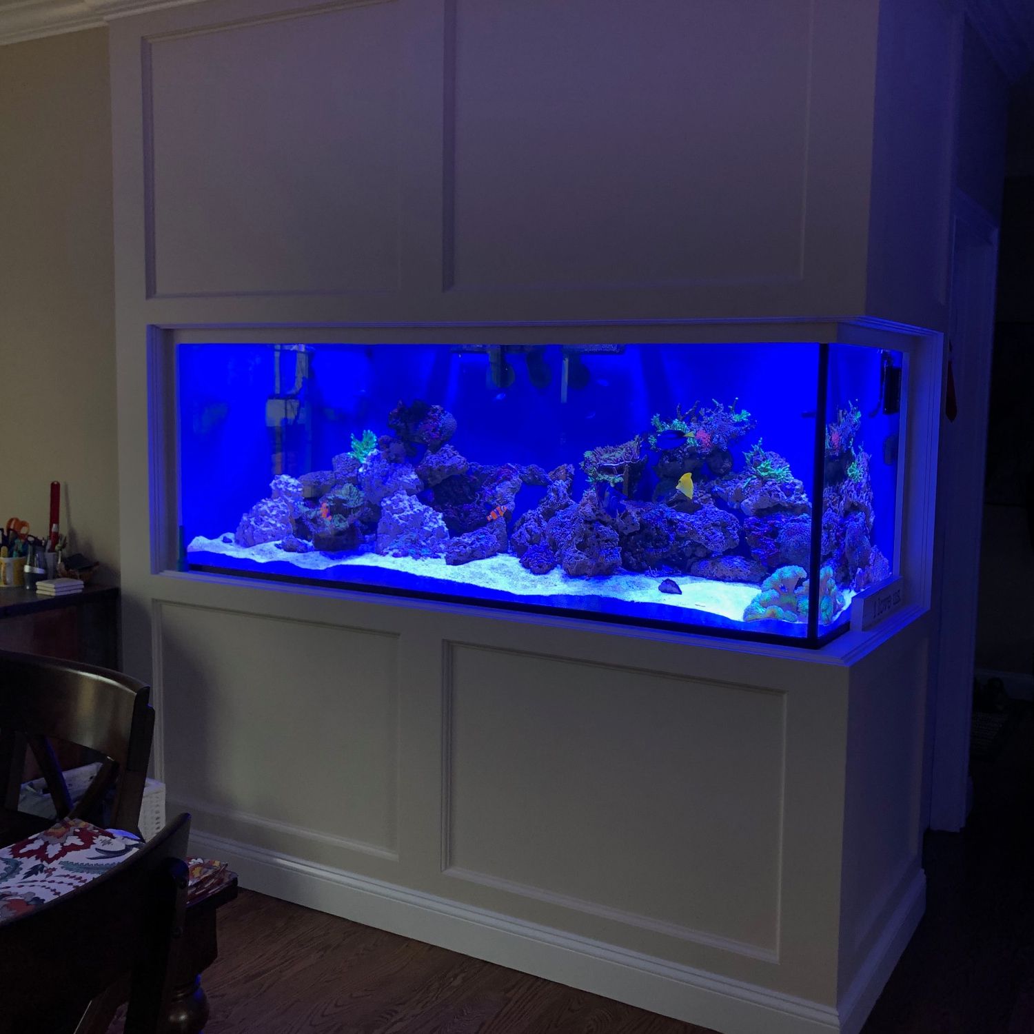 Image showcasing Saltwater Aquariums - Custom Aquariums