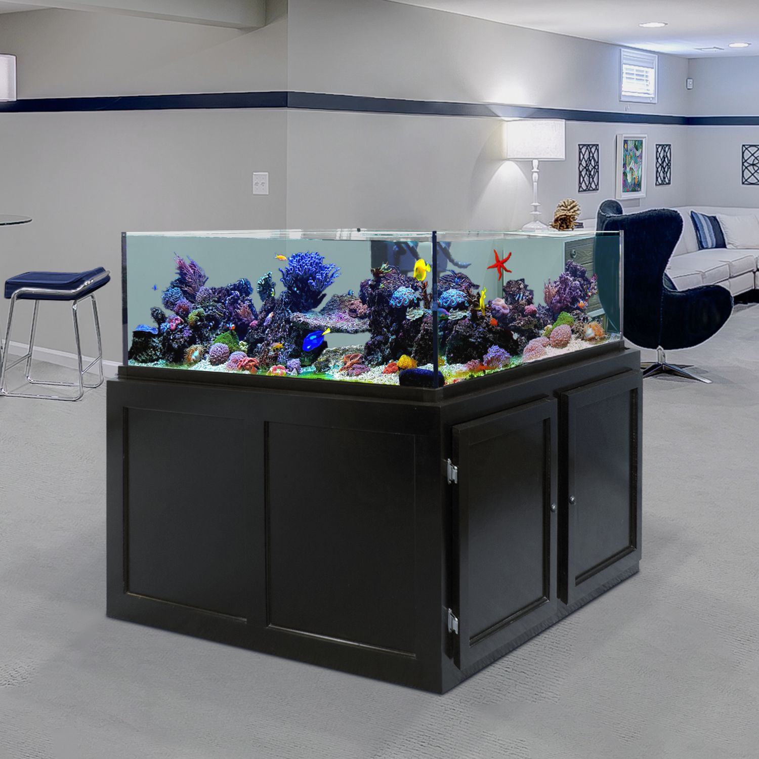 Saltwater Aquariums - Custom Aquariums