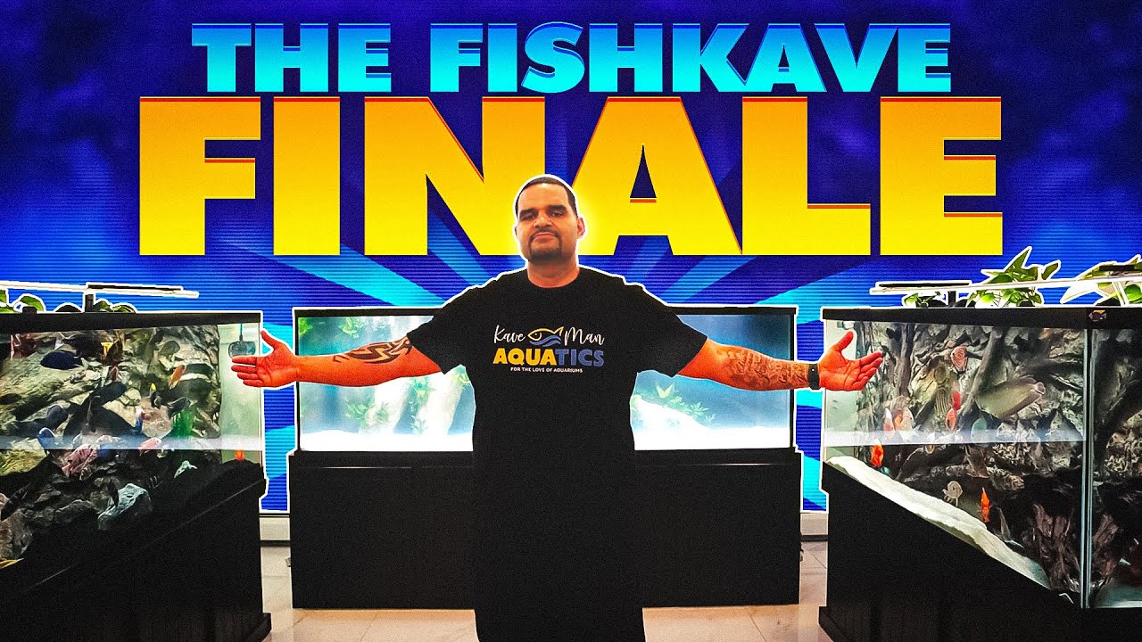 水槽 Y fish Man New 450G Completes the FishKave! (Pt 3) - Custom Aquariums